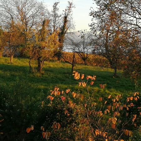 Haus Meersburg Garten Eksteriør bilde