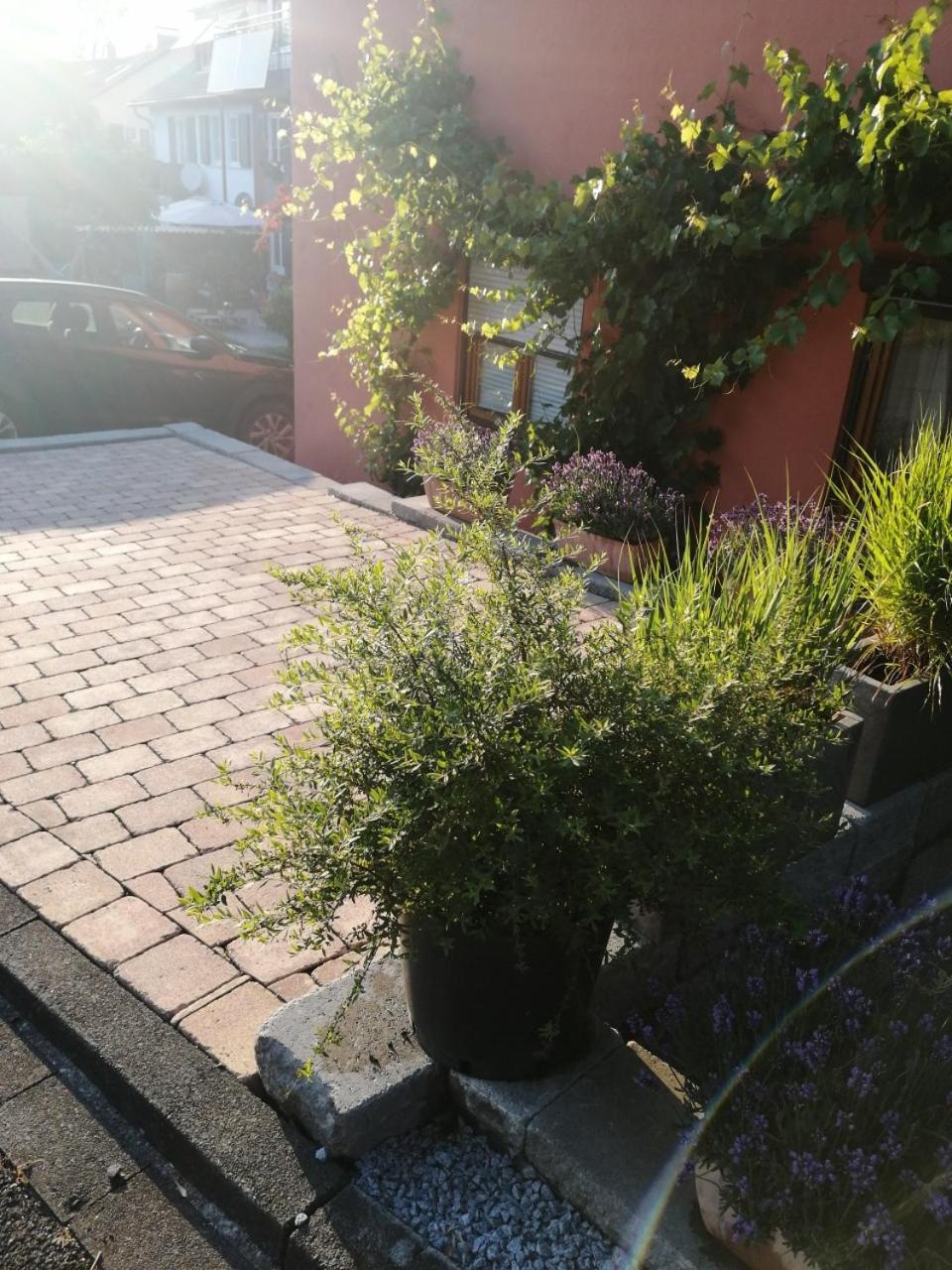 Haus Meersburg Garten Eksteriør bilde