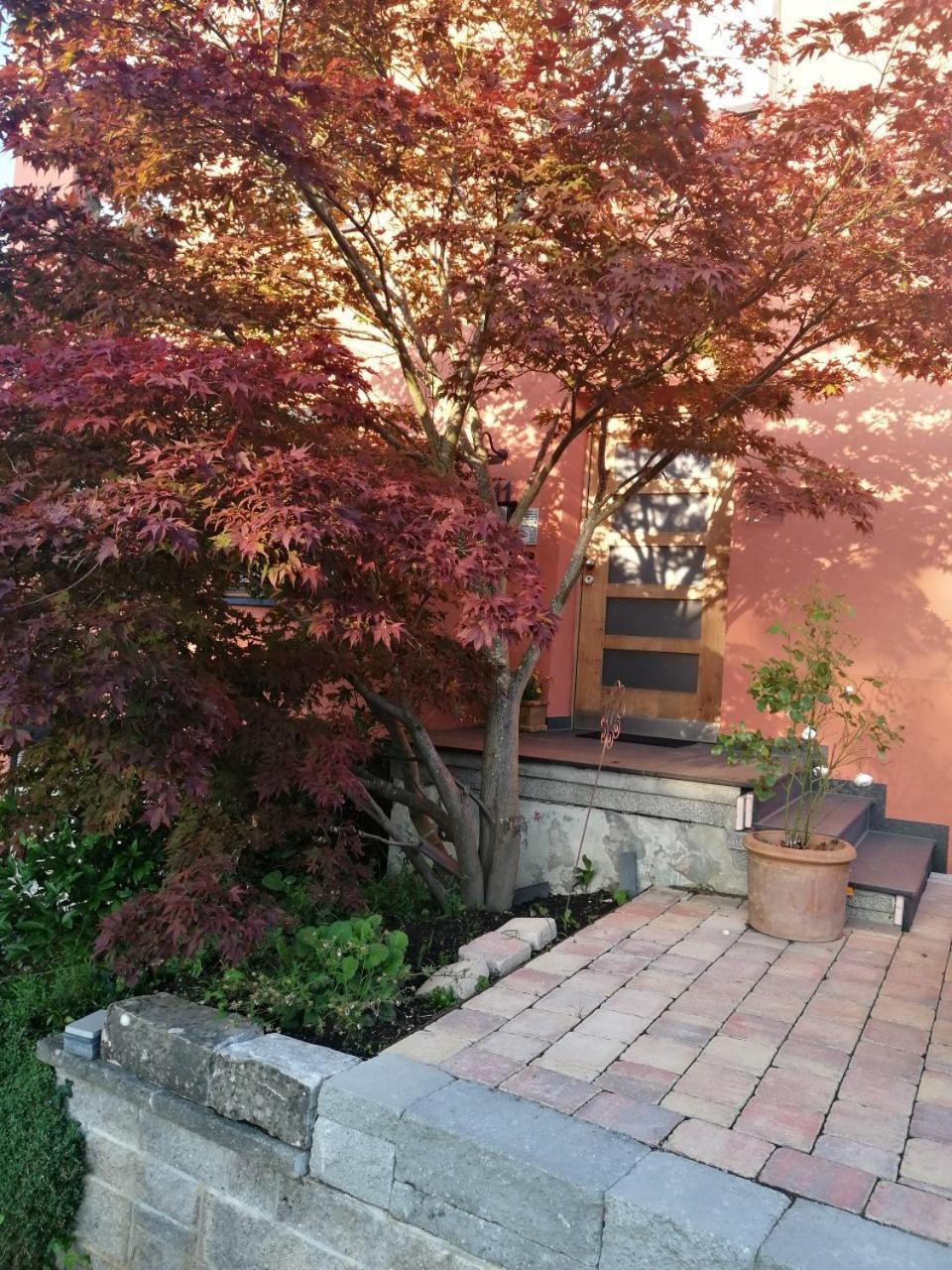 Haus Meersburg Garten Eksteriør bilde