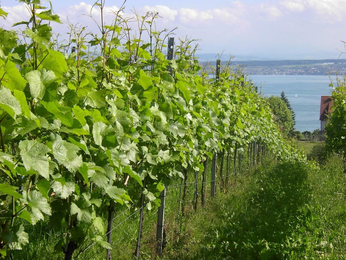 Haus Meersburg Garten Eksteriør bilde