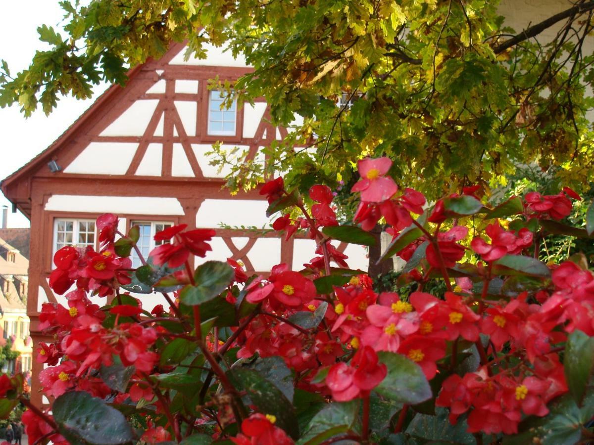 Haus Meersburg Garten Eksteriør bilde